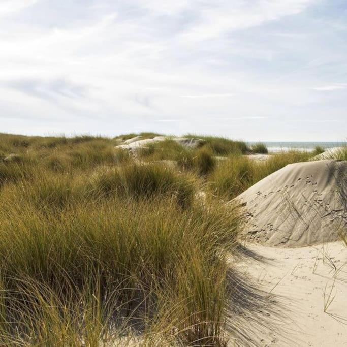 Le Rosa: Villa De Charme Entre Mer Et Pinede Quend Luaran gambar