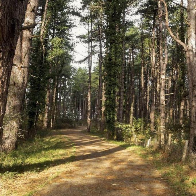 Le Rosa: Villa De Charme Entre Mer Et Pinede Quend Luaran gambar